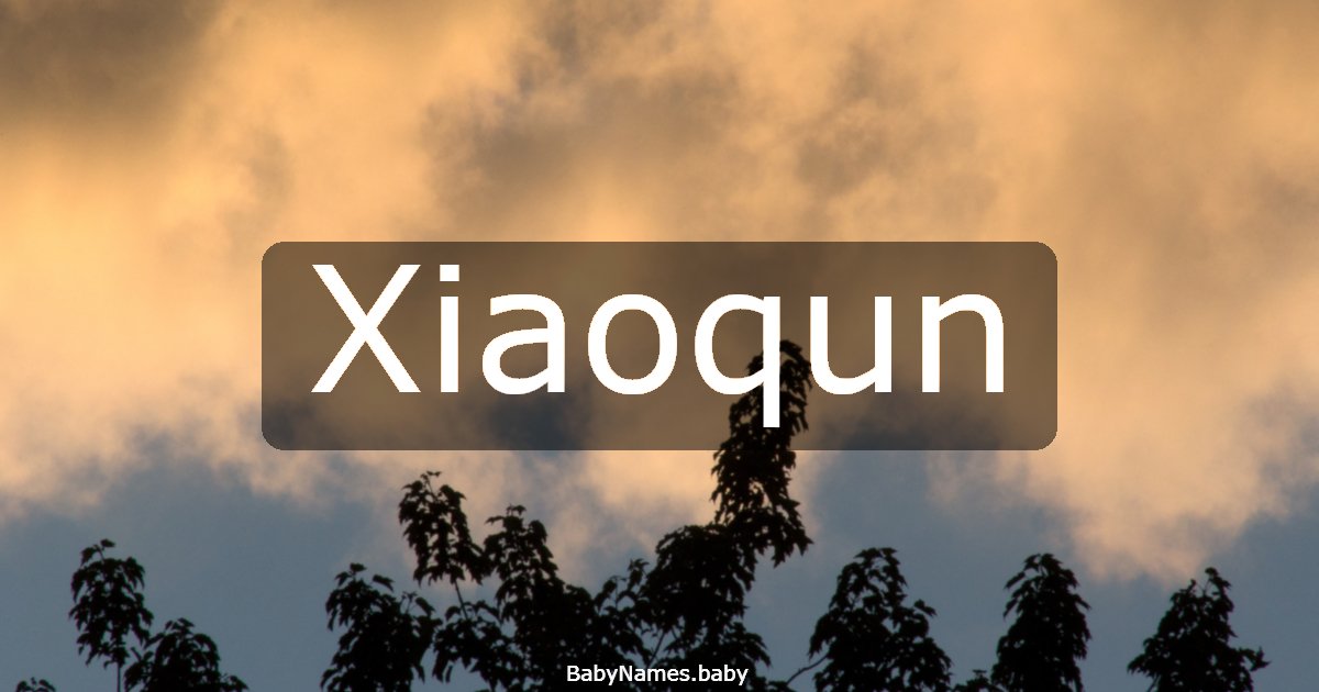 Xiaoqun