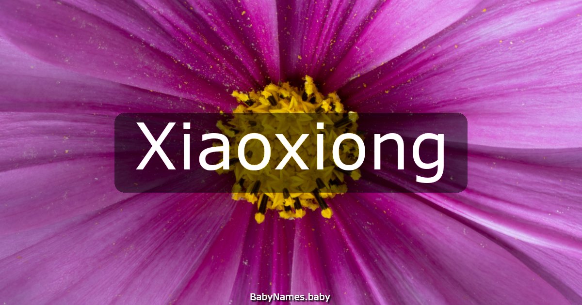 Xiaoxiong