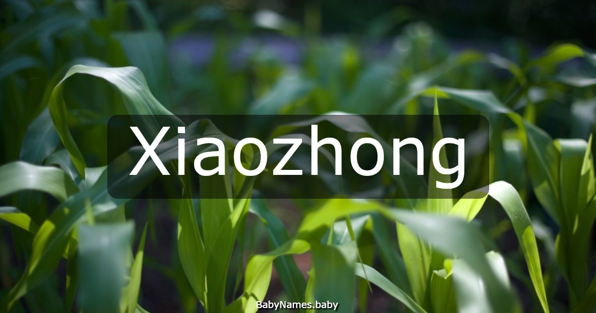 Xiaozhong