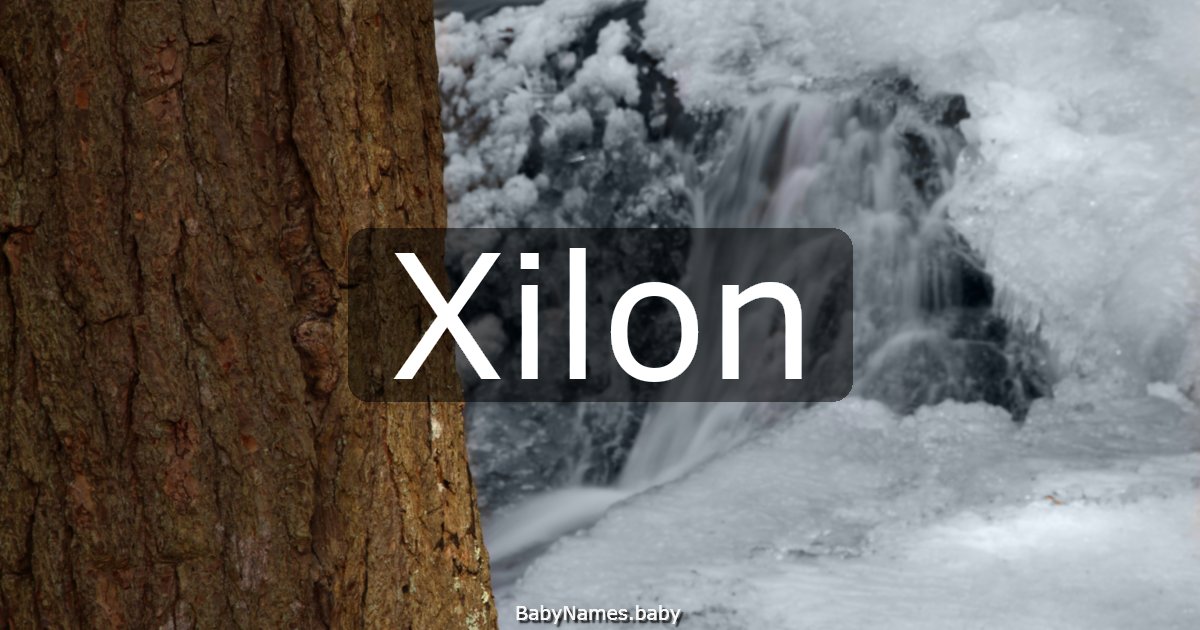 Xilon
