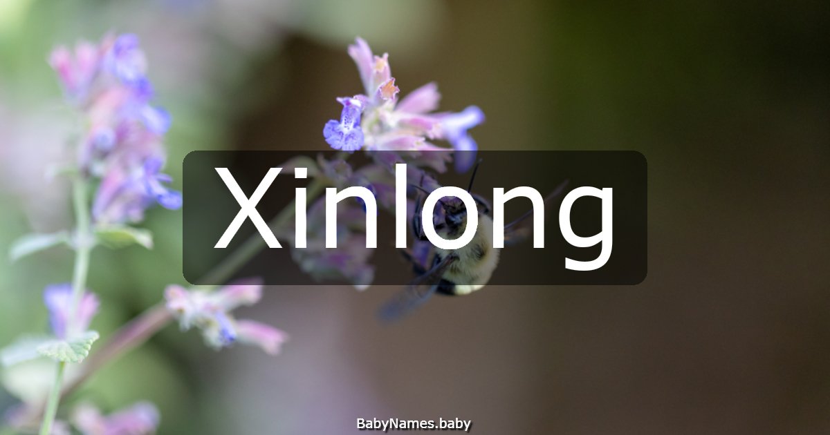 Xinlong