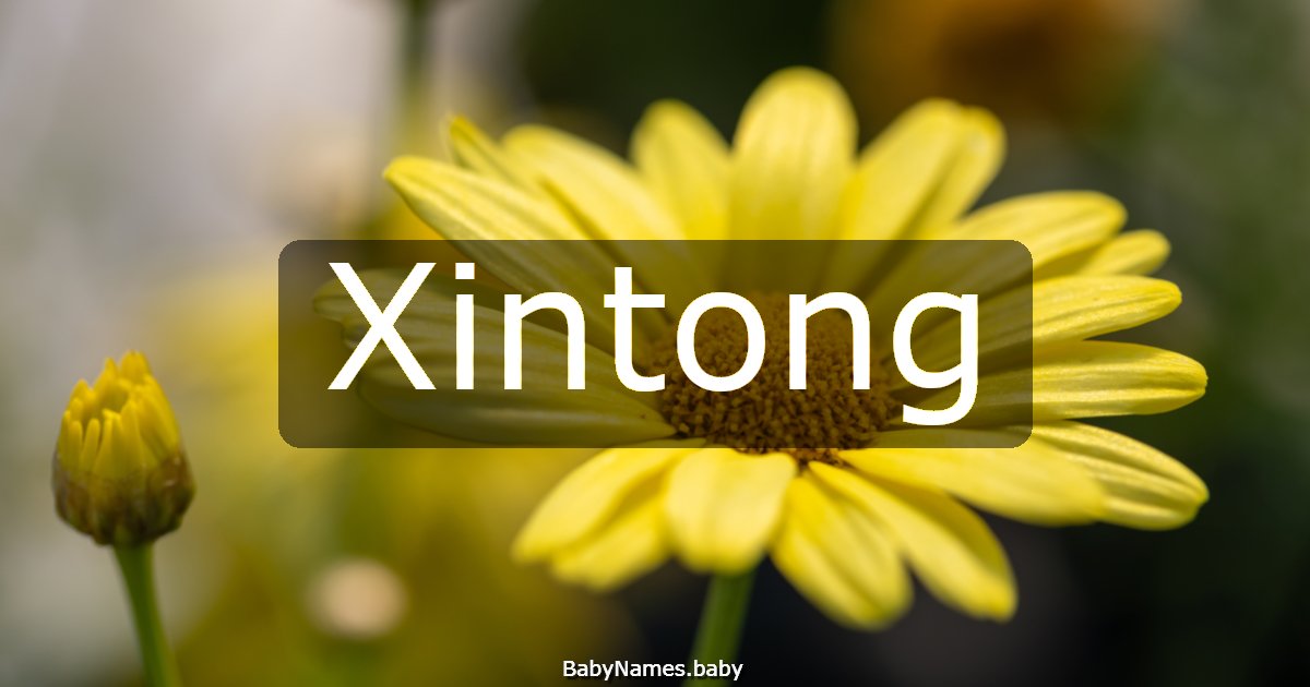 Xintong