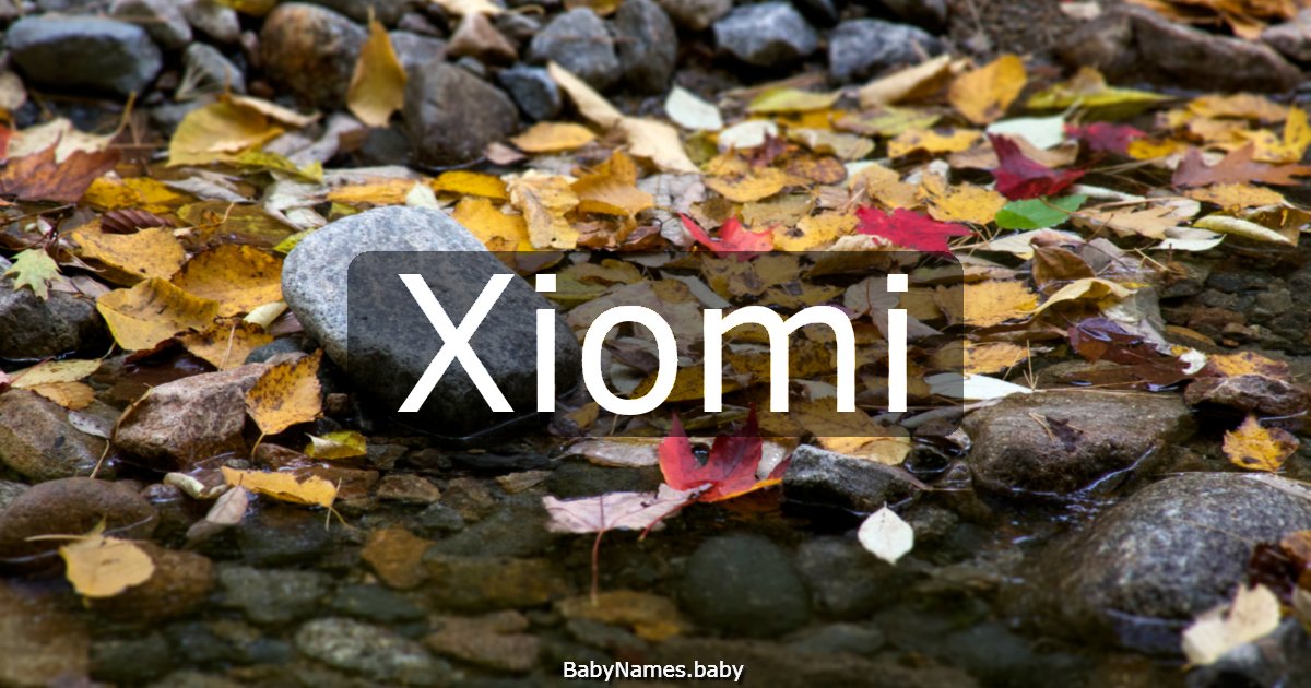 Xiomi