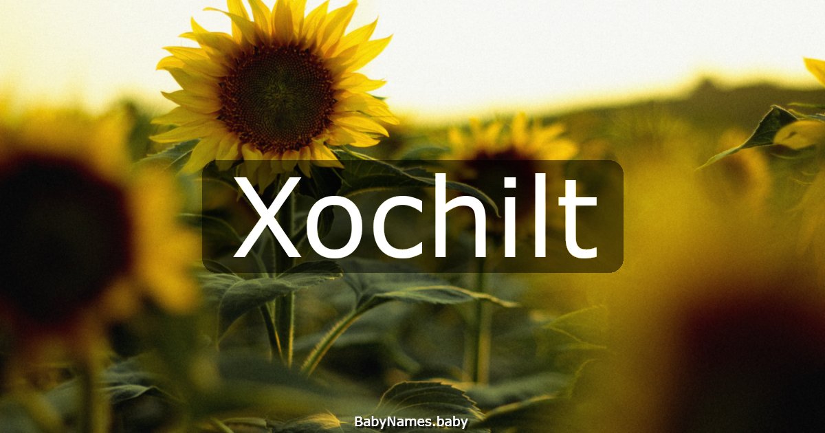 Xochilt