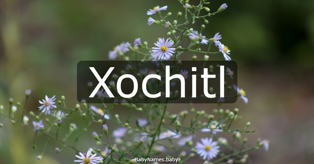 Xochitl