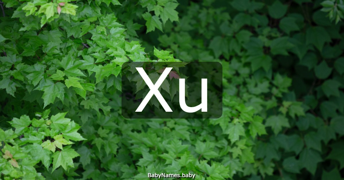 Xu