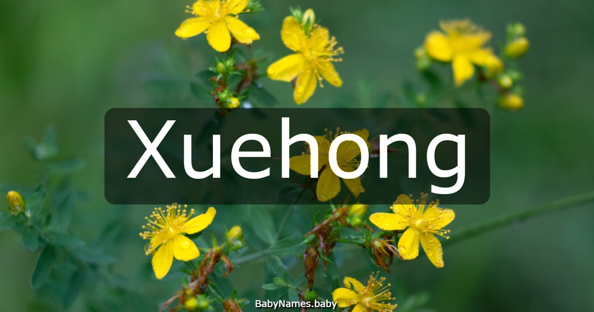 Xuehong