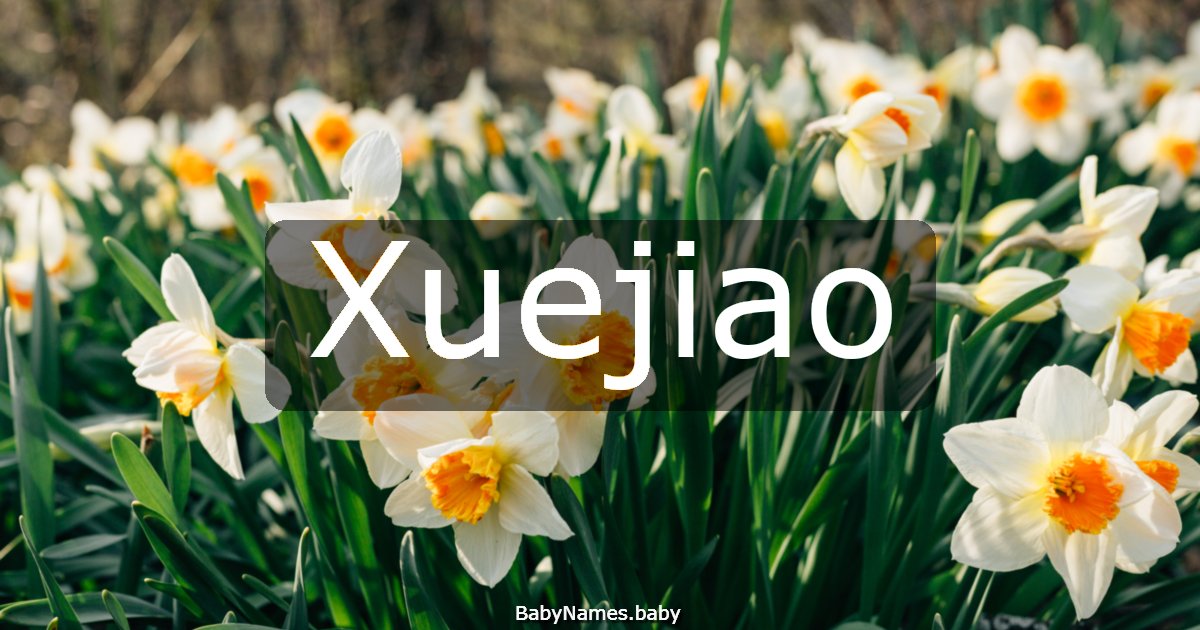 Xuejiao