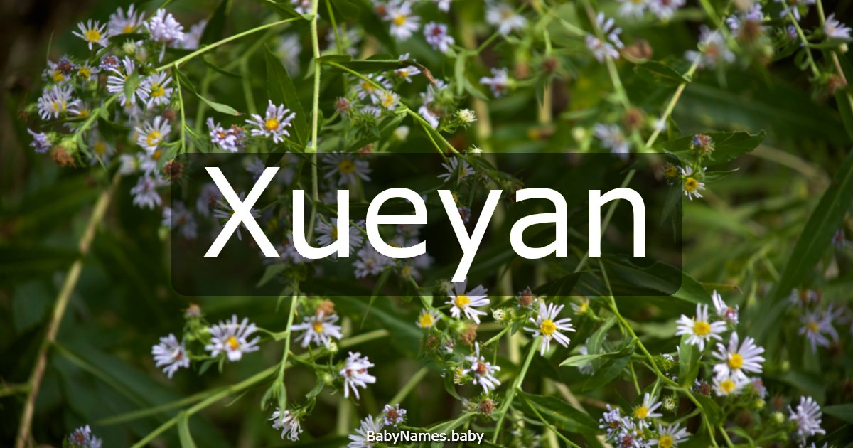 Xueyan