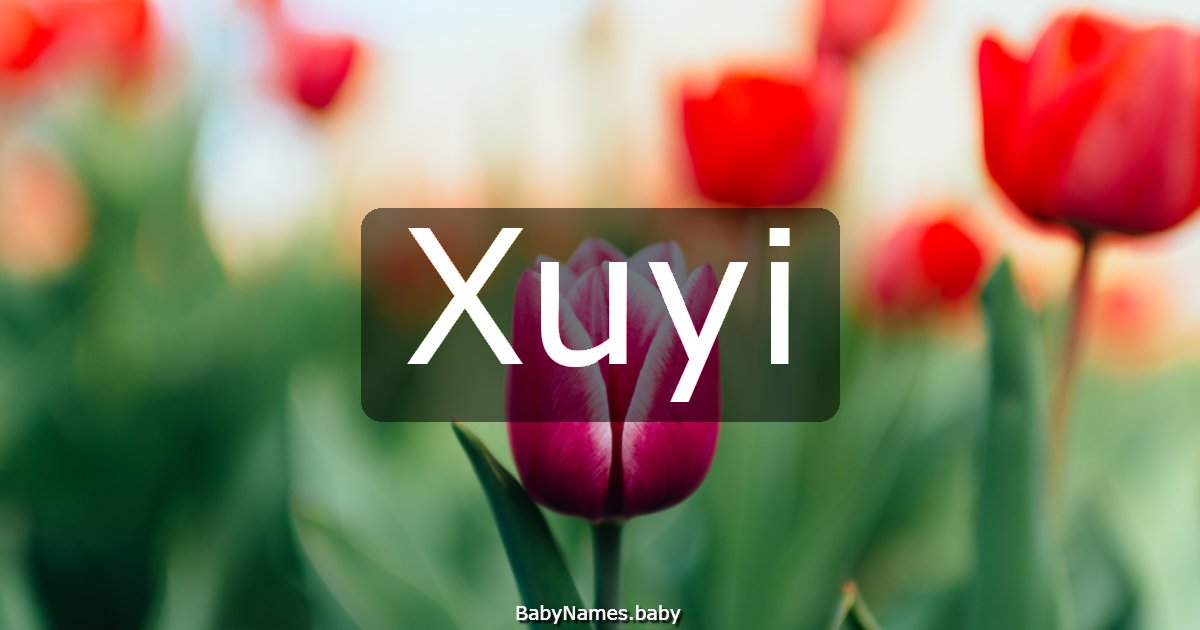 Xuyi