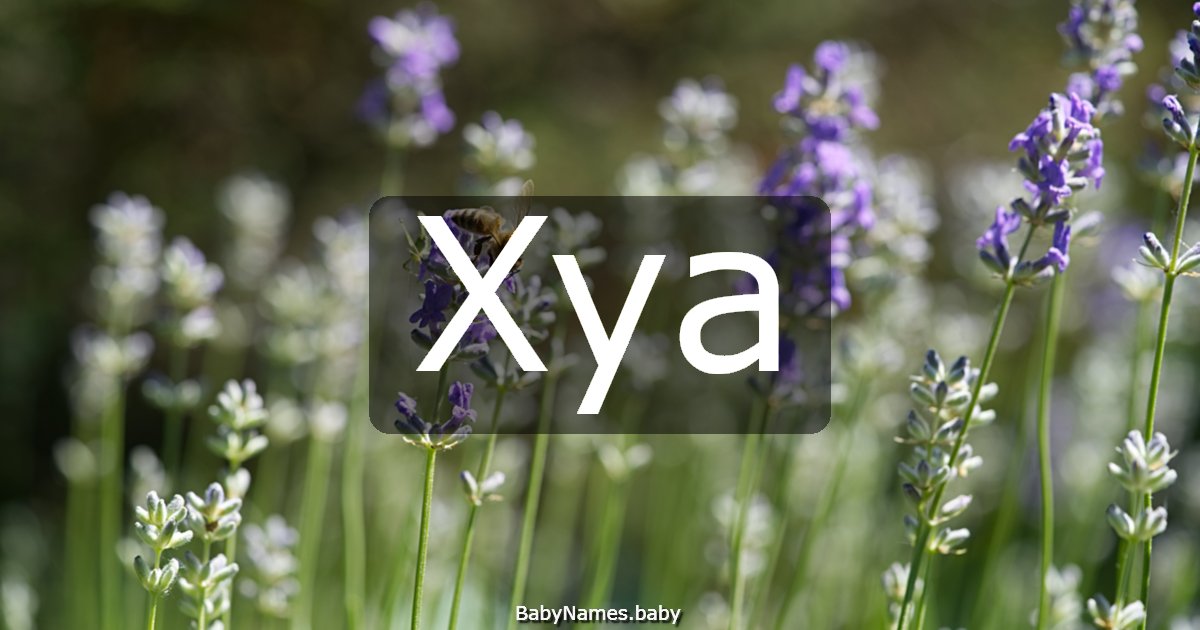 Xya