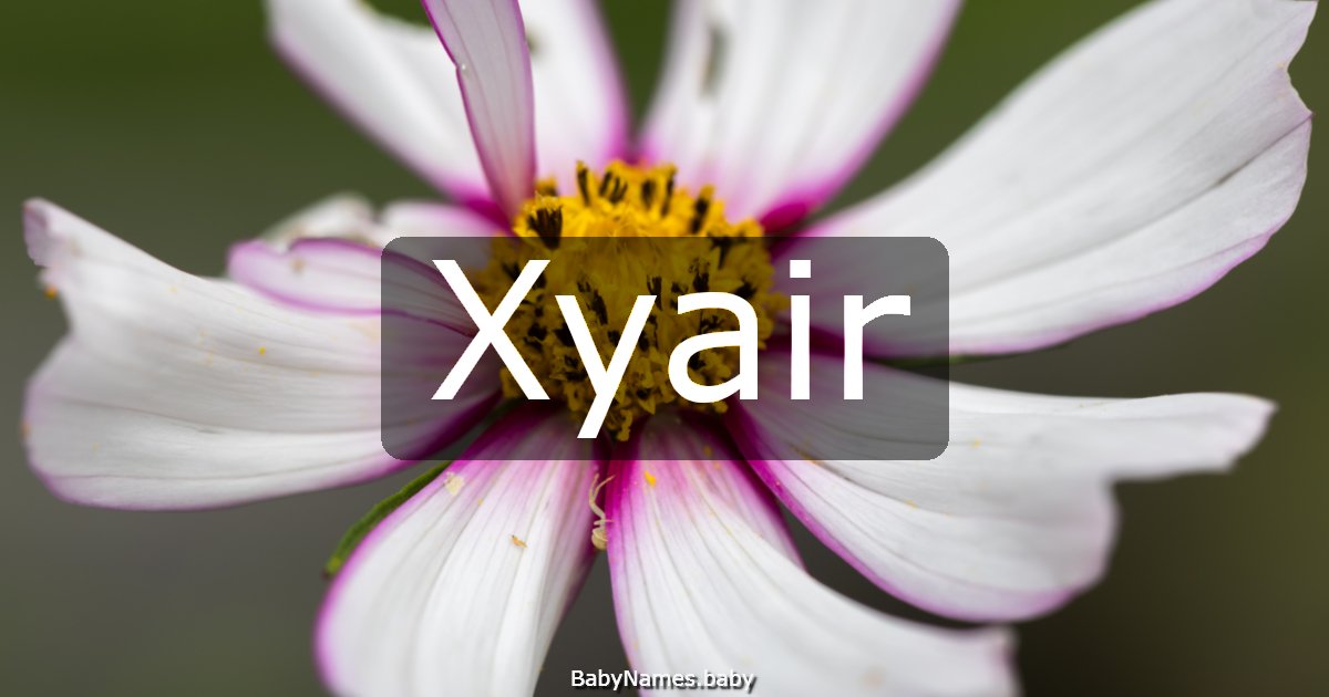 Xyair