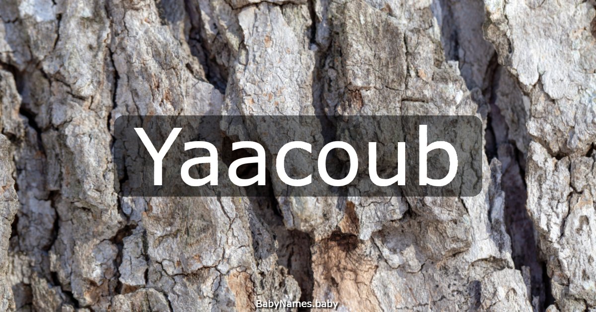 Yaacoub
