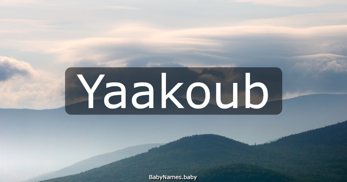 Yaakoub
