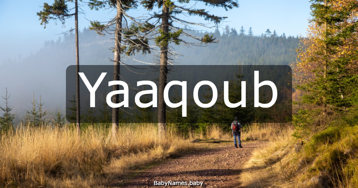 Yaaqoub