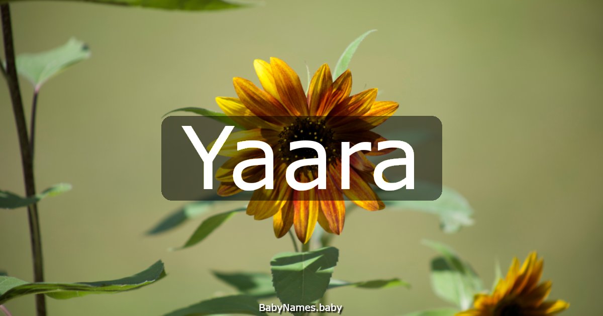 Yaara