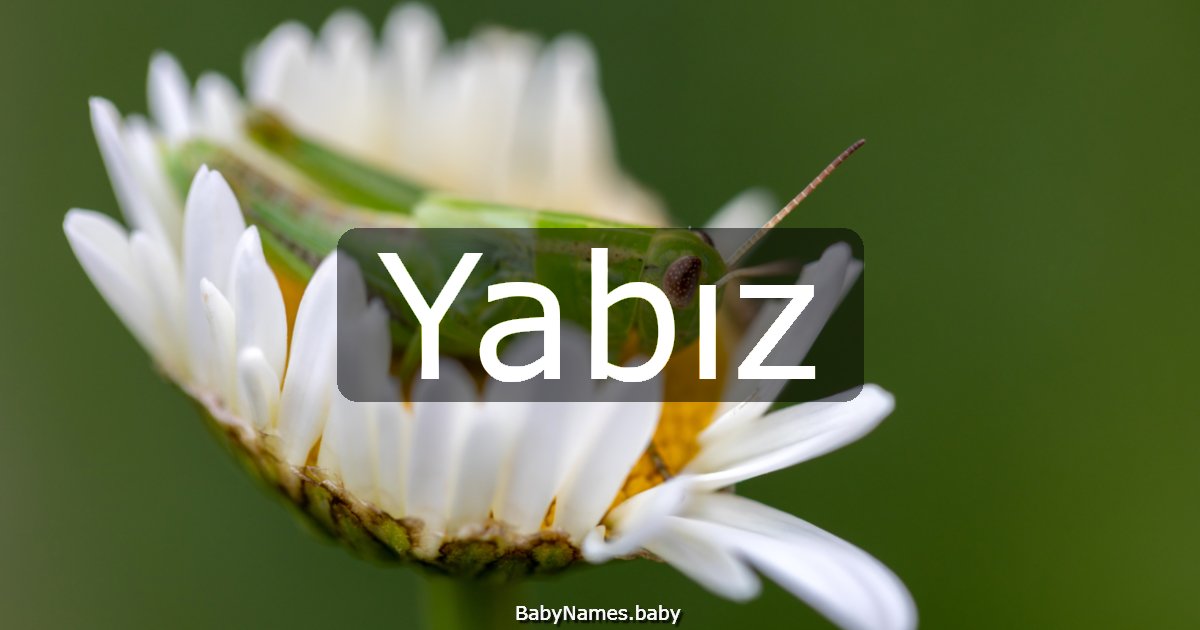 Yabız