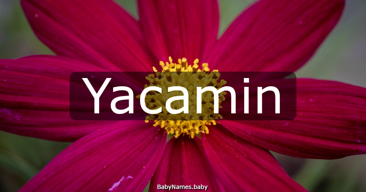 Yacamin