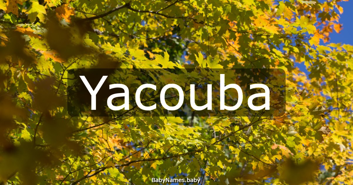 Yacouba