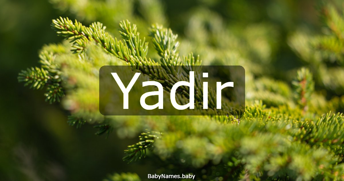 Yadir