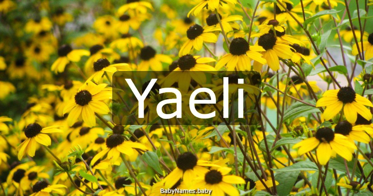 Yaeli