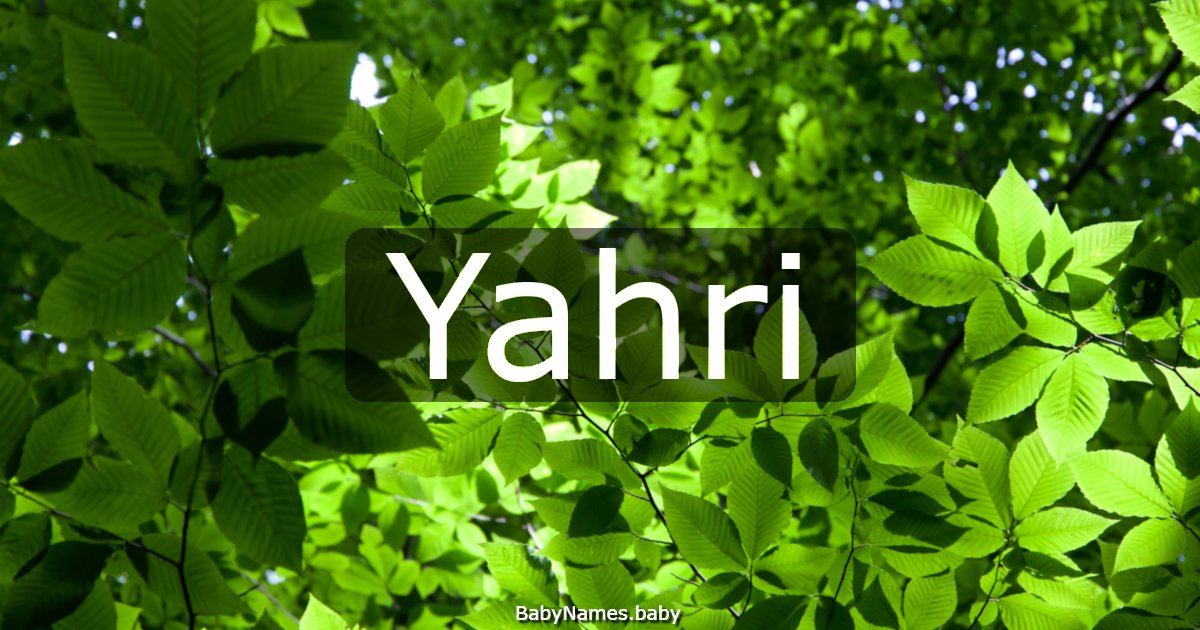 Yahri