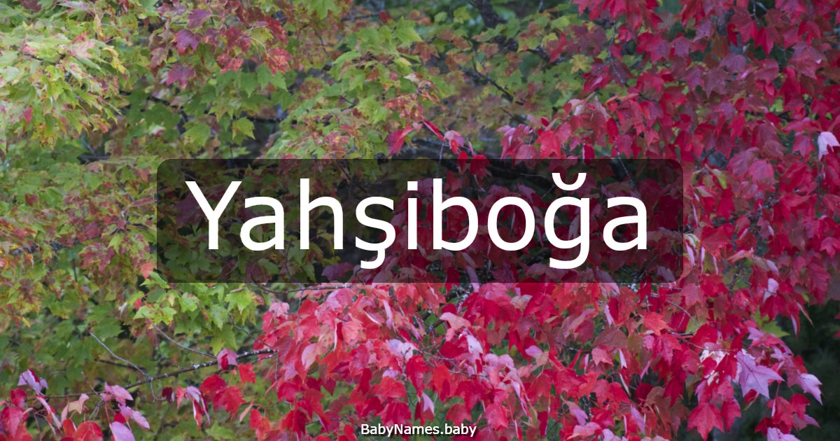 Yahşiboğa