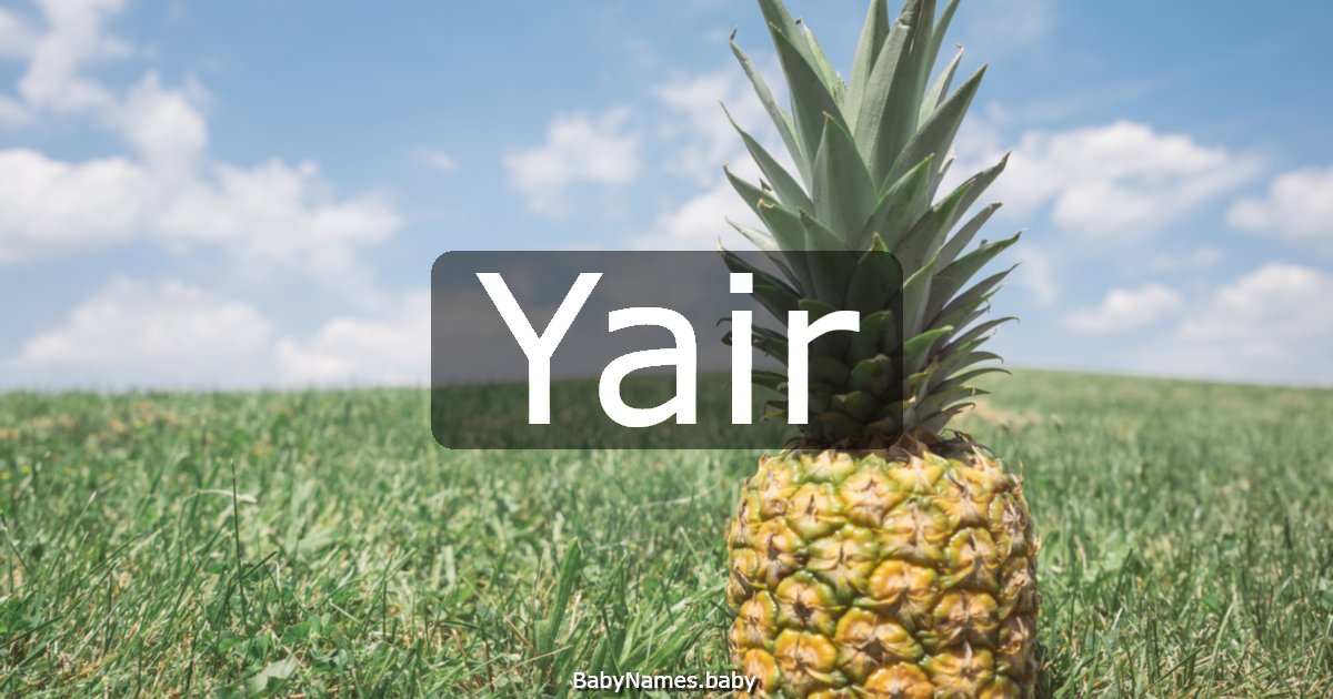 Yair