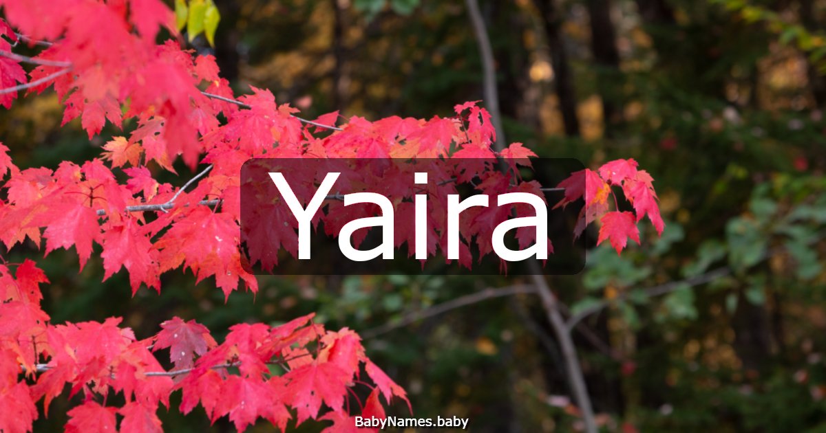 Yaira