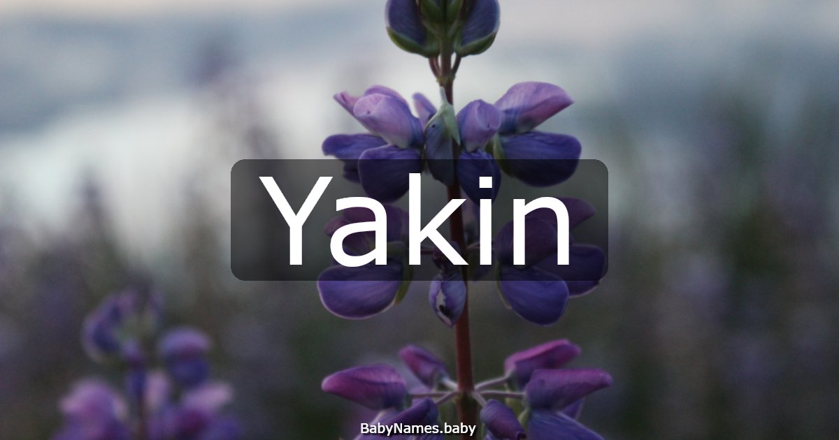 Yakin