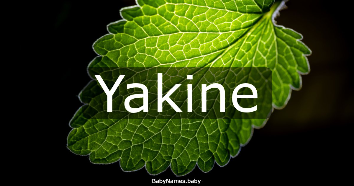 Yakine