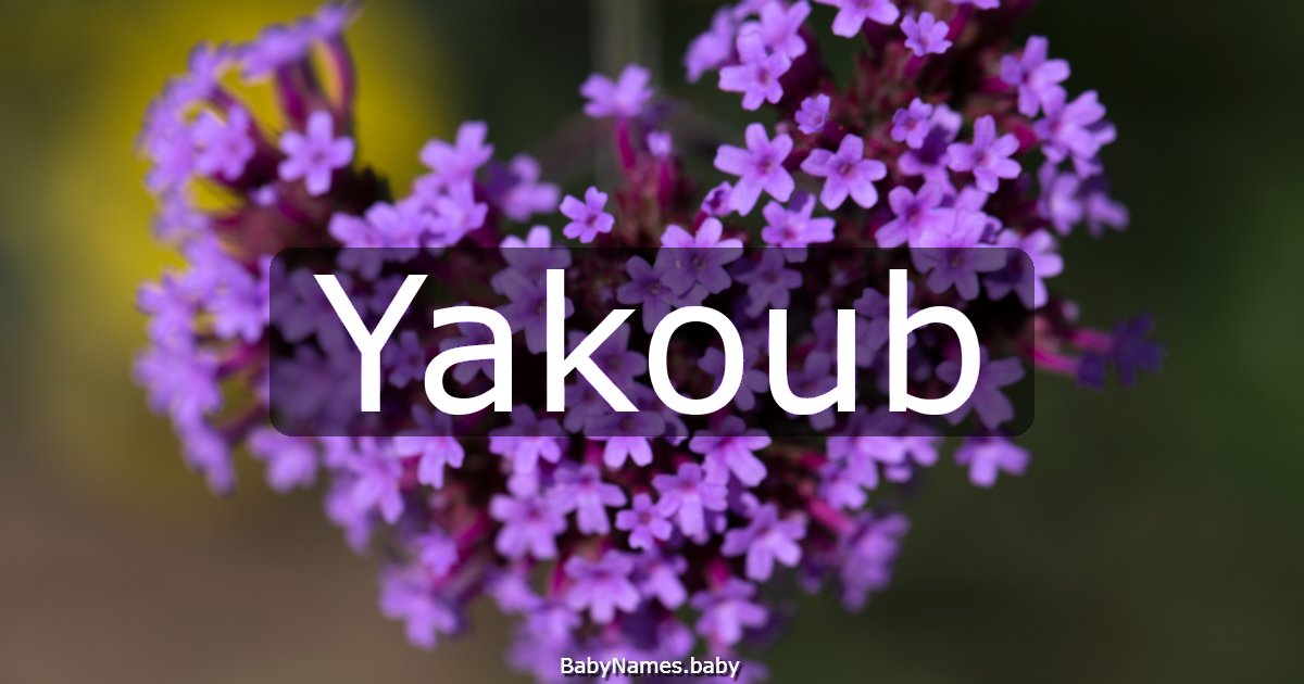 Yakoub