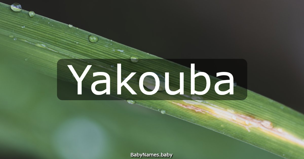 Yakouba