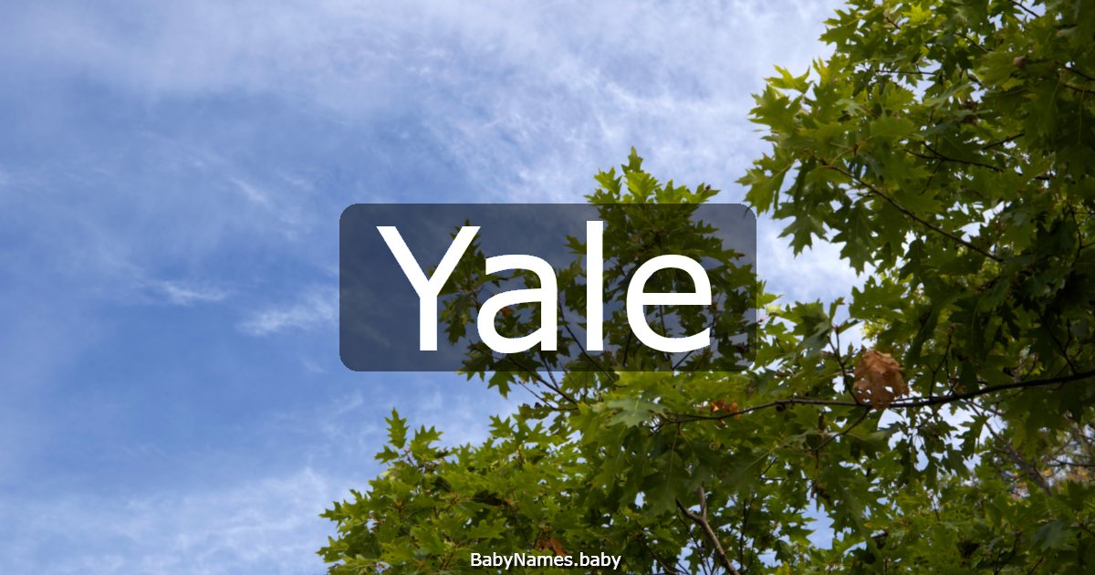 Yale