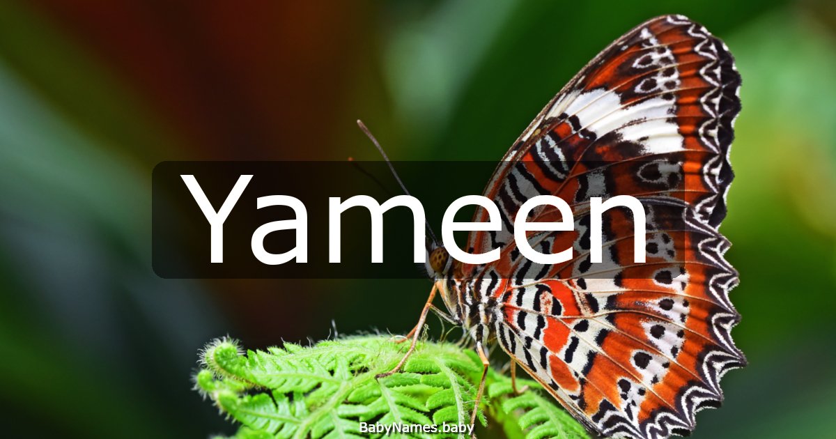 Yameen
