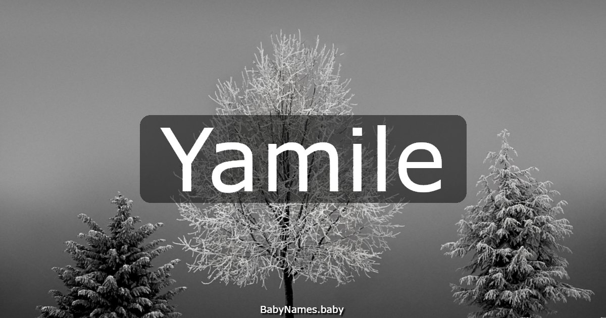 Yamile