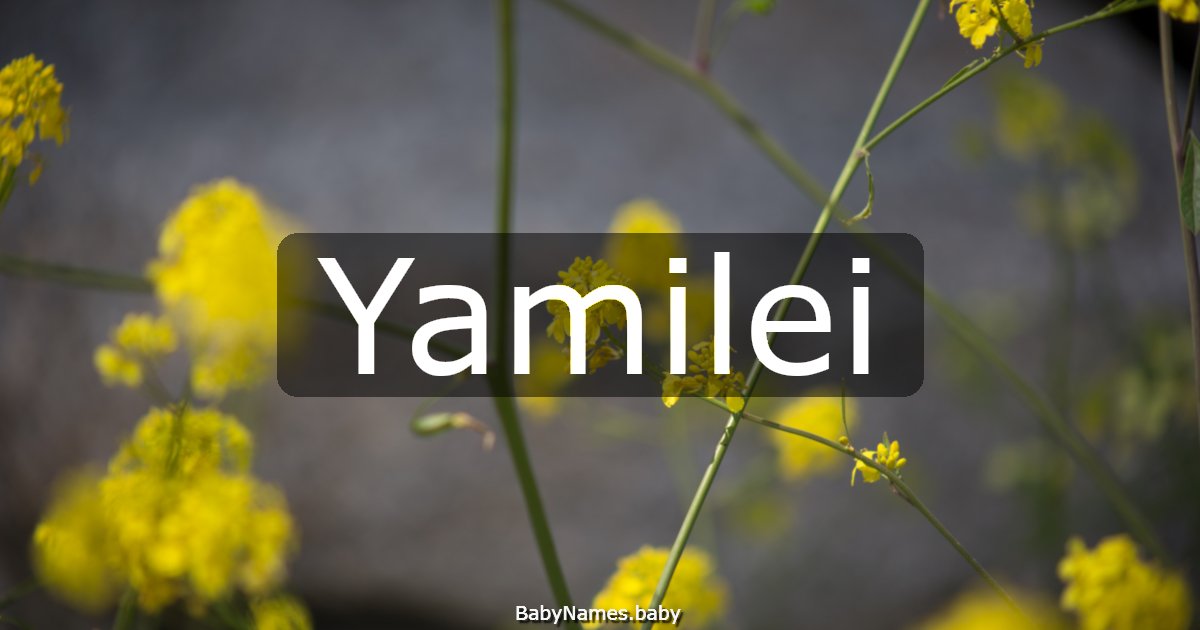Yamilei