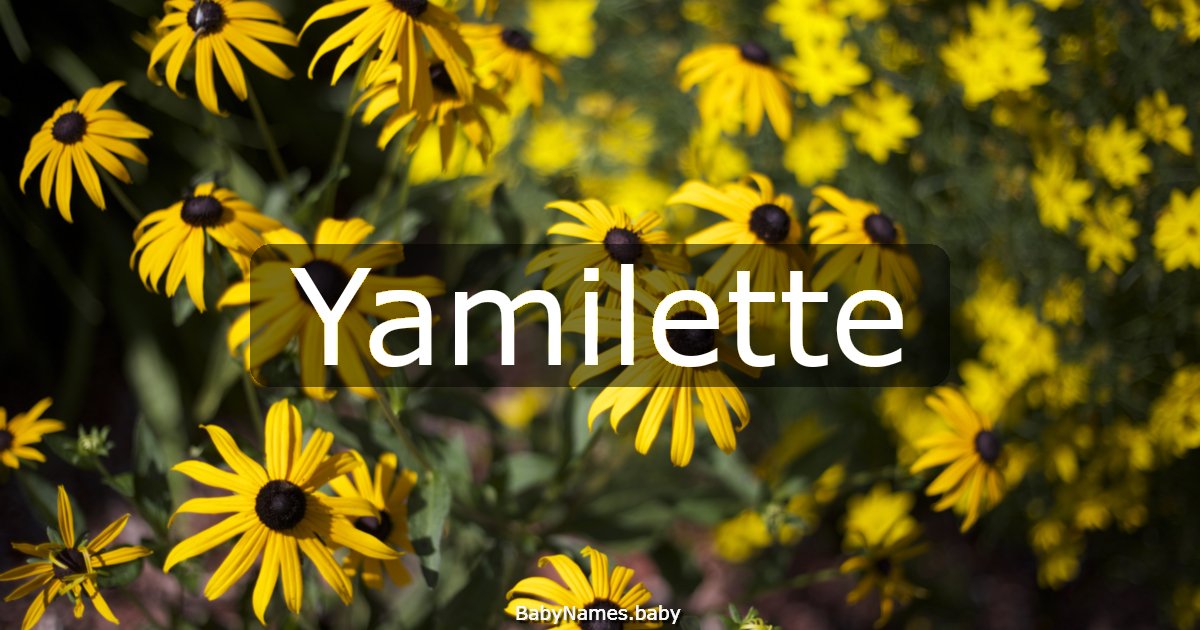 Yamilette