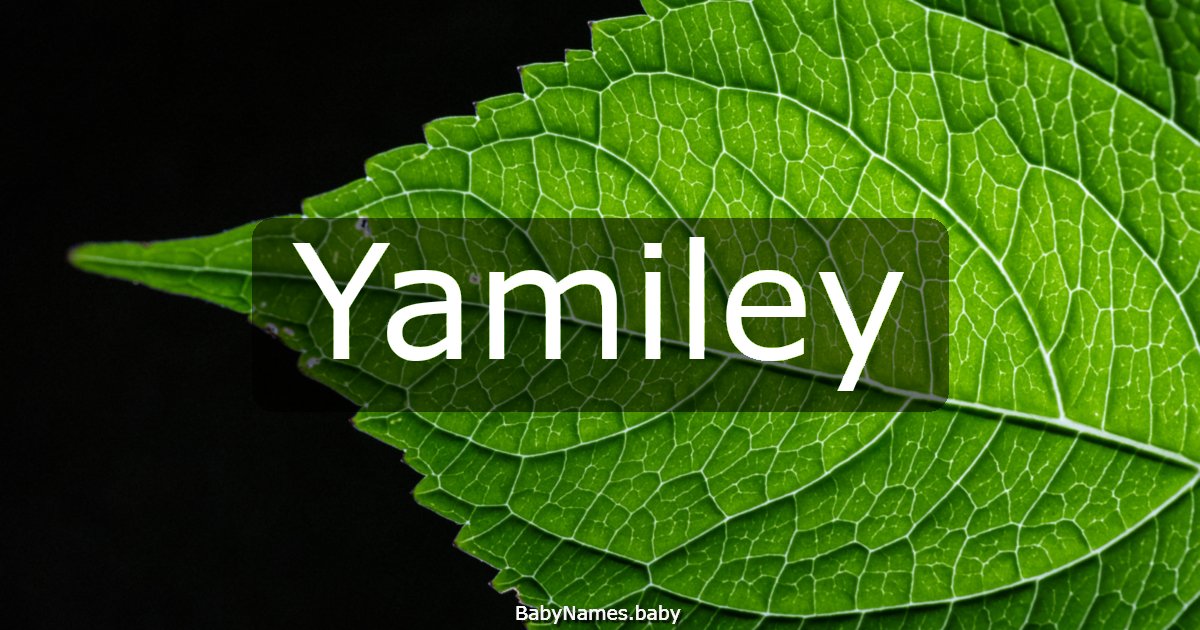 Yamiley