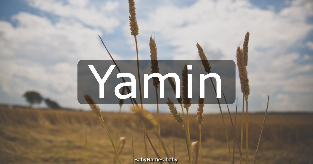 Yamin