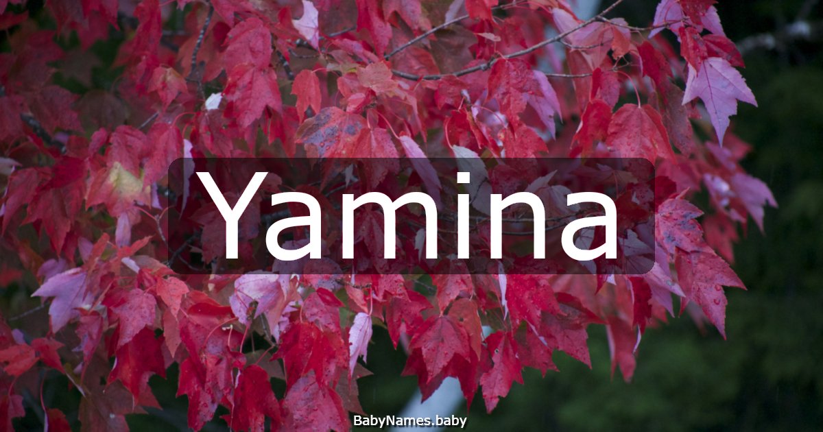 Yamina