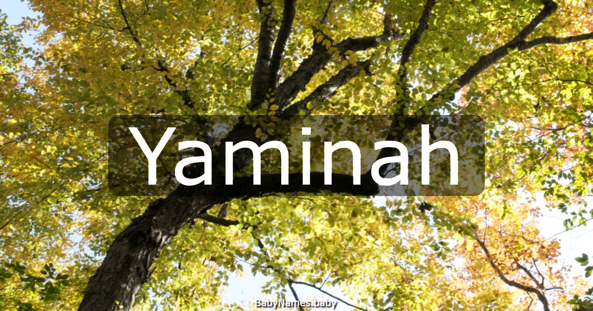 Yaminah