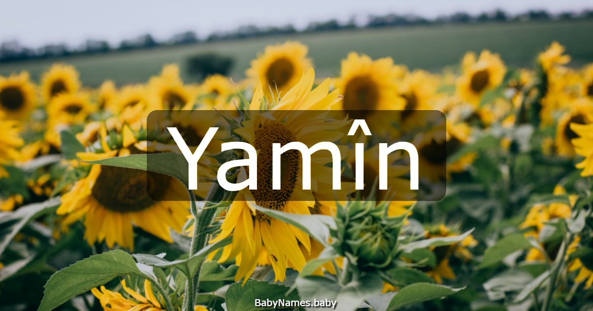 Yamîn