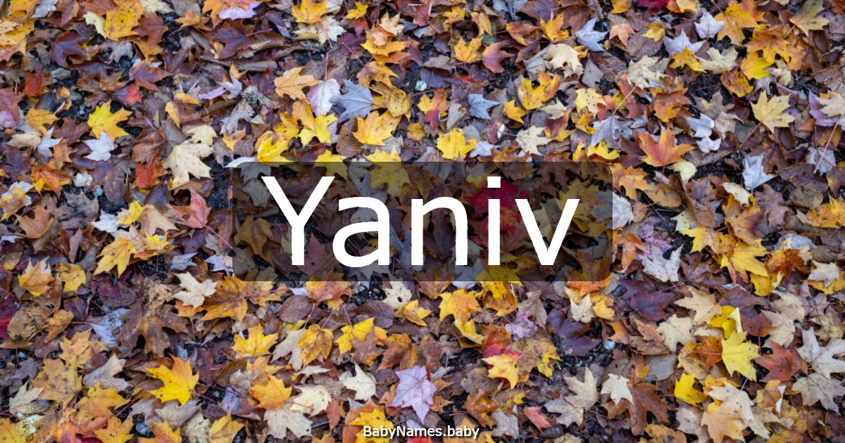 Yaniv