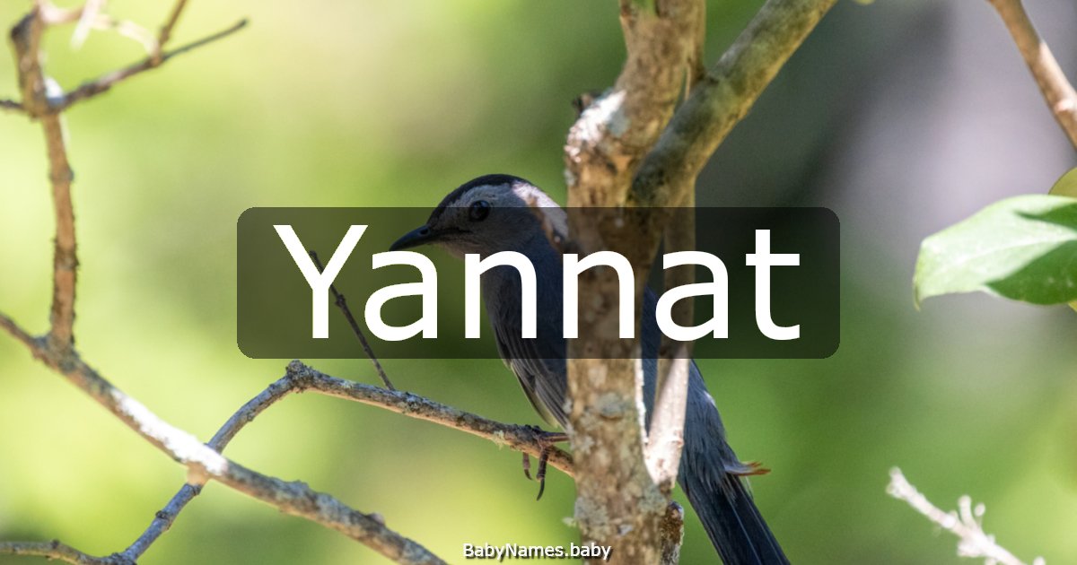 Yannat