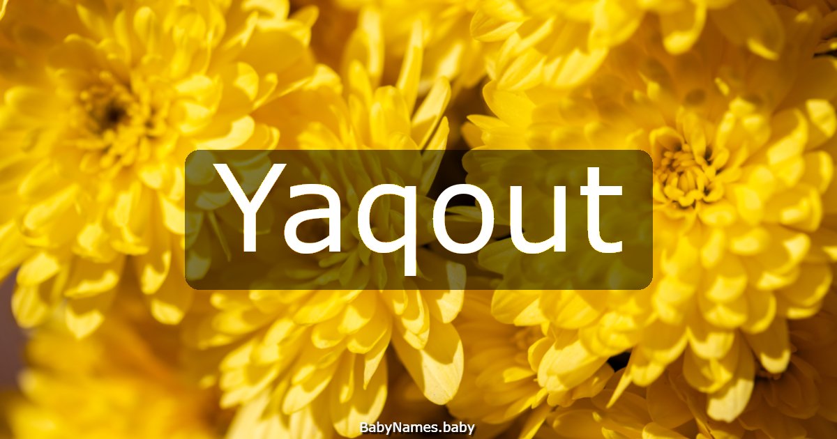 Yaqout