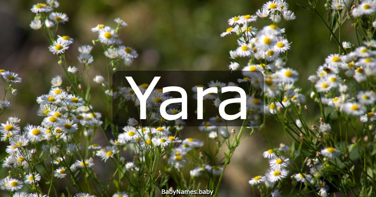Yara