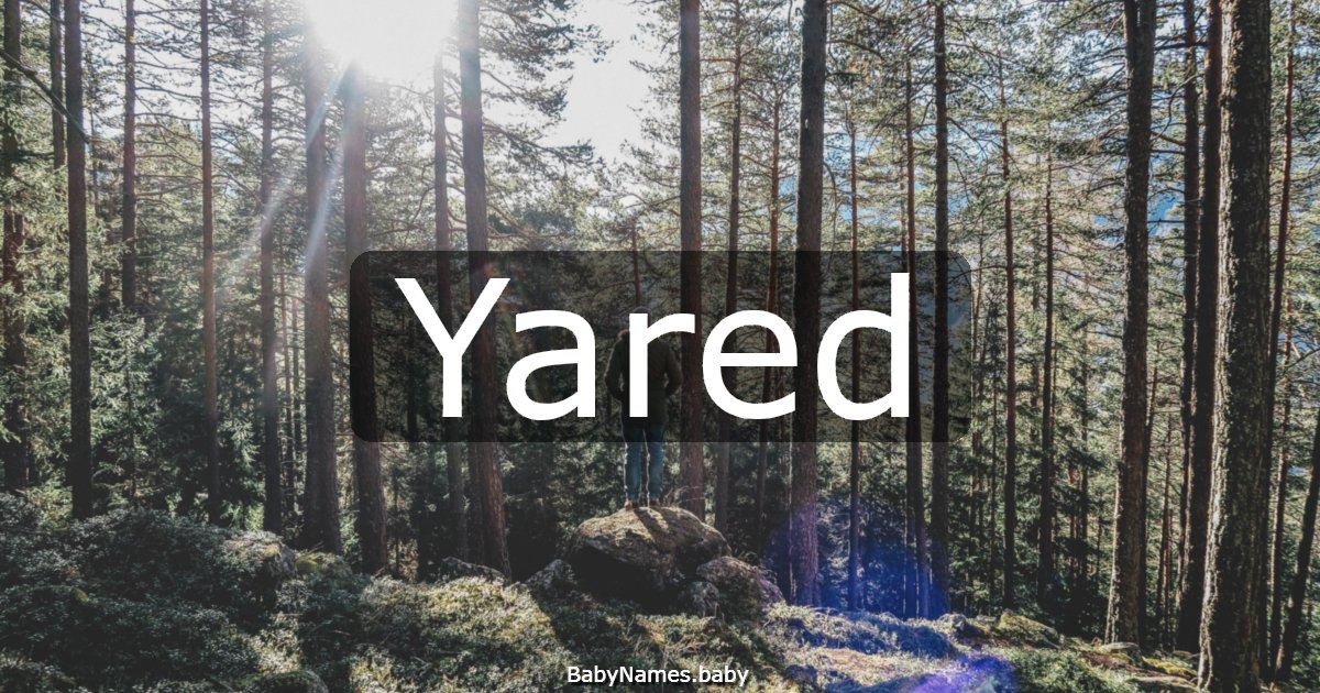 Yared