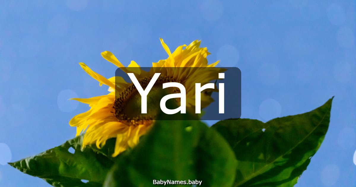 Yari