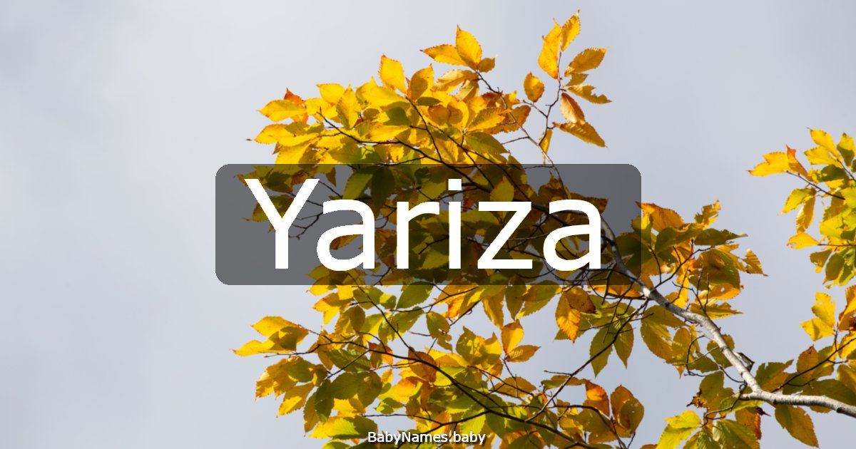 Yariza